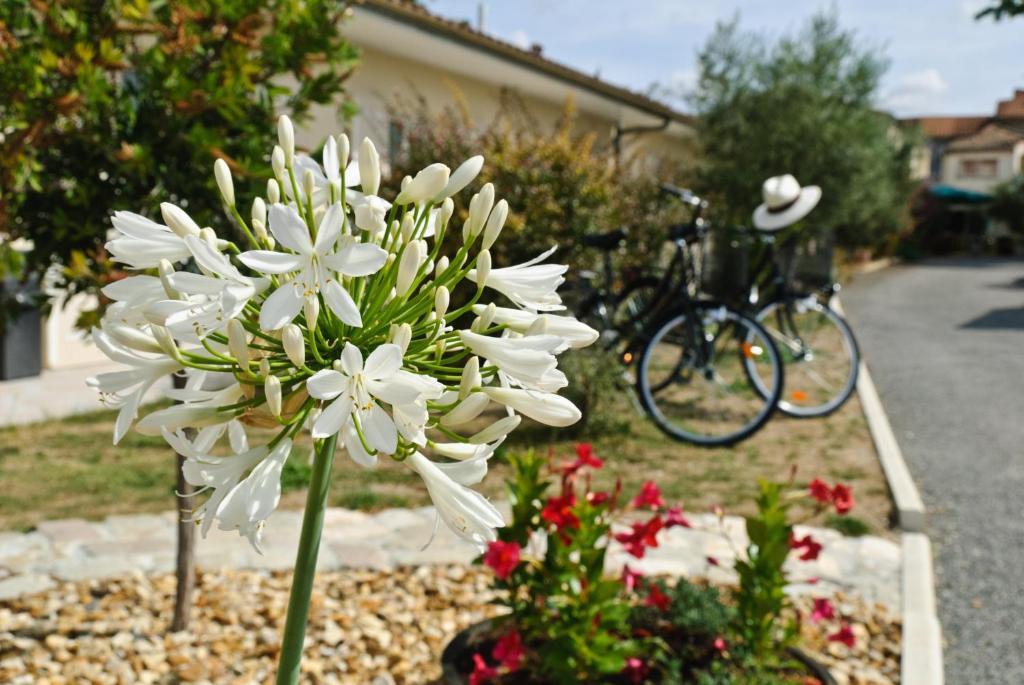 Logis Hotel L'Oliveraie Cognac Bagian luar foto